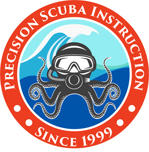 Logo Design by VEGA-Designs