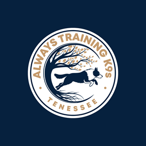 Logo Design by Rosalie.. for this project | Design: #29422029