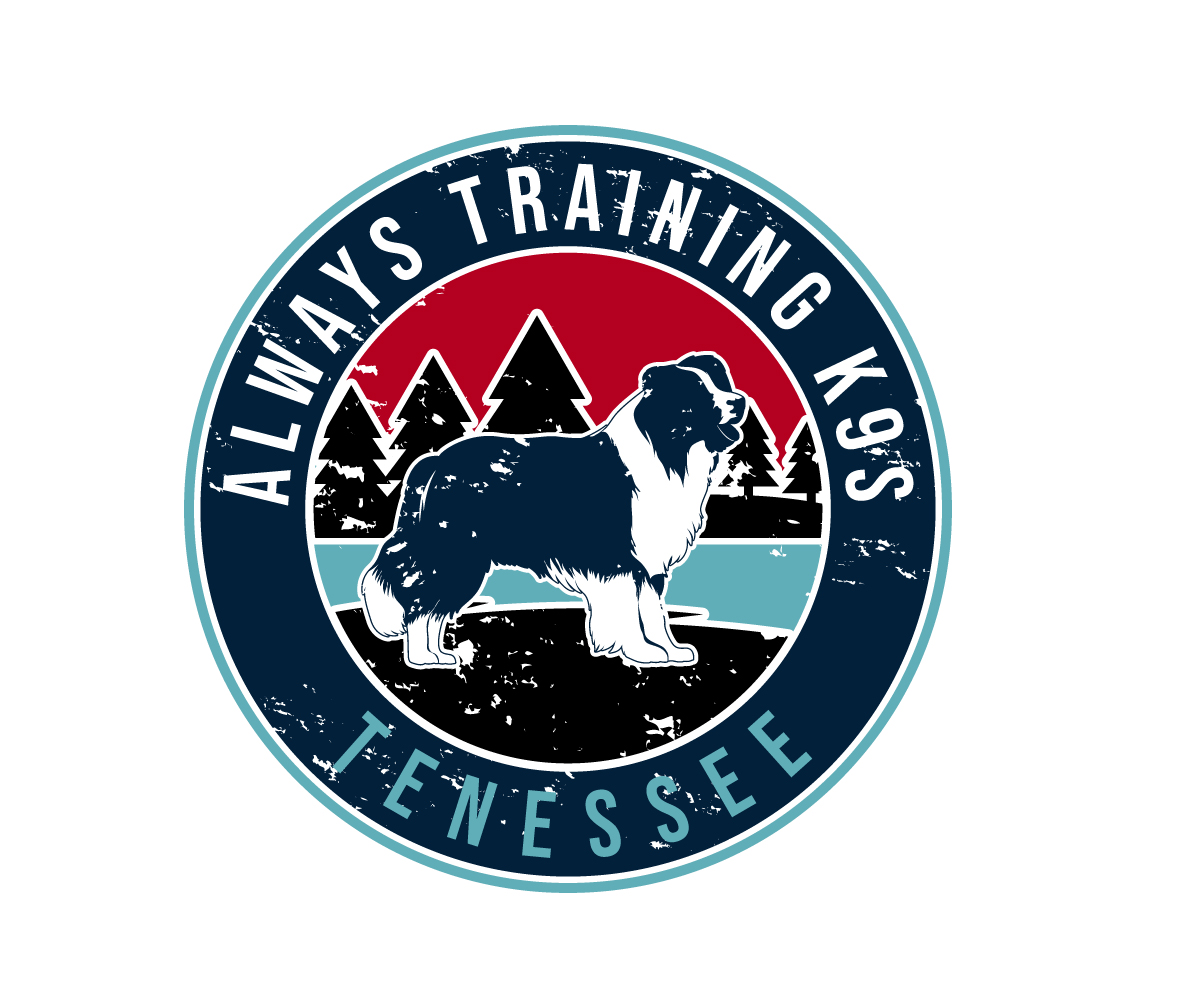 Logo Design by Paint-Tools for this project | Design #29412666