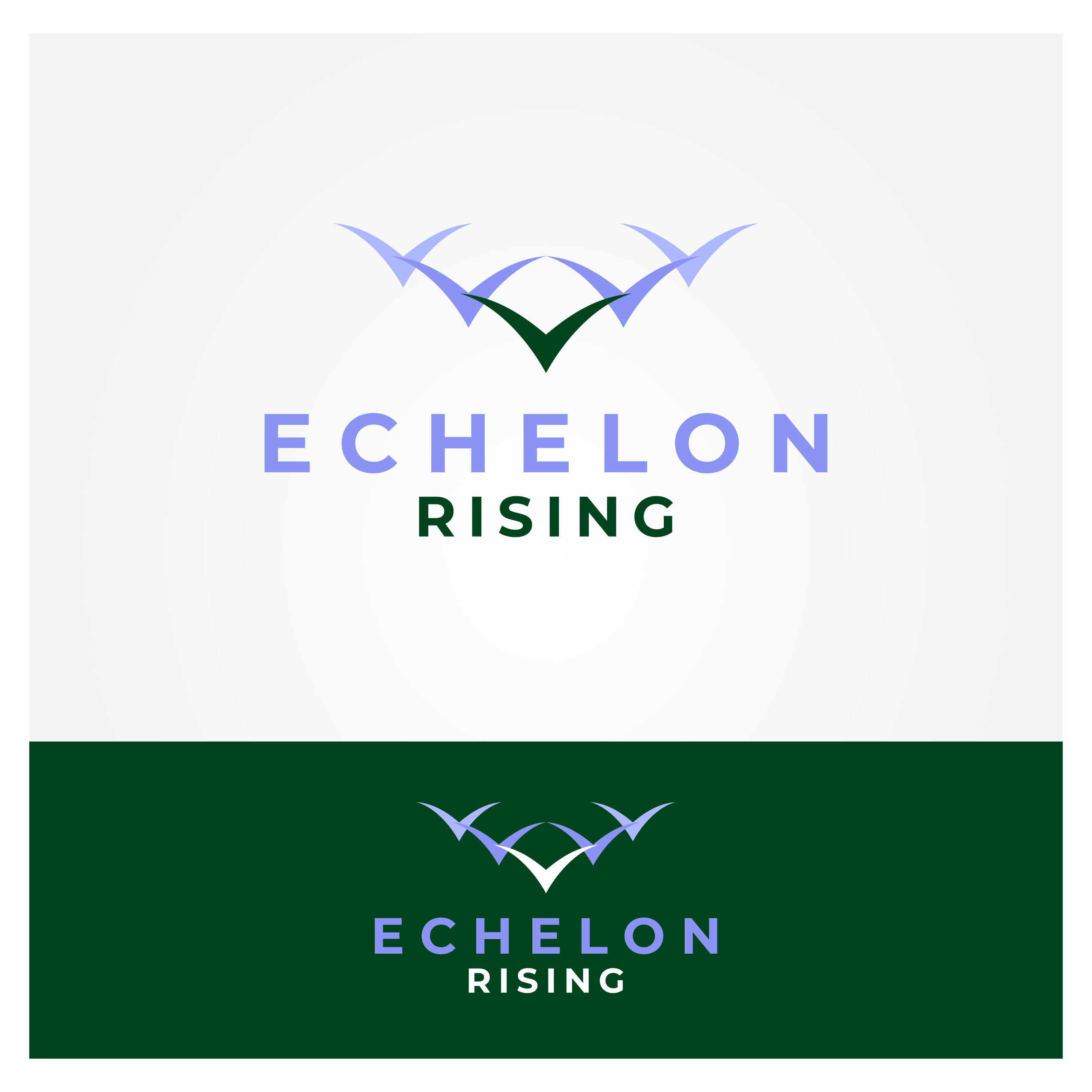 Logo Design by JWTL for Echelon Rising | Design #29465941