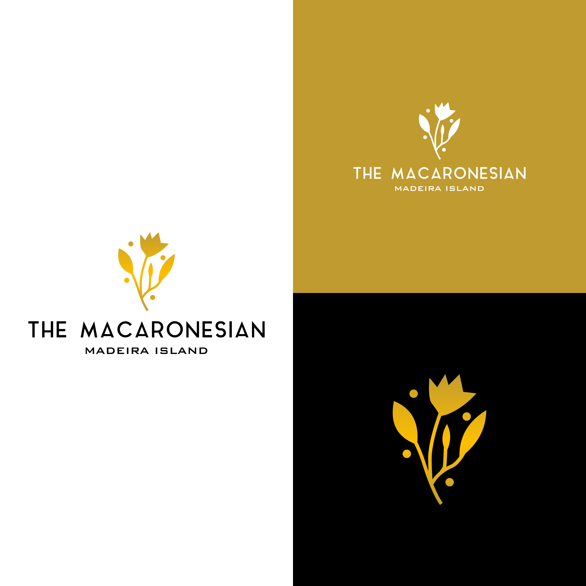 Logo Design by alitjuara for this project | Design #29423777
