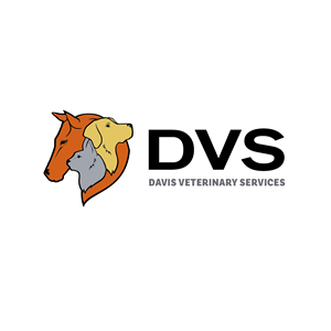 Logo-Design von borzoid für dieses Projekt | Design: #29415947