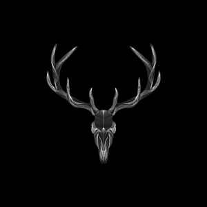 Logo Design by Nglray