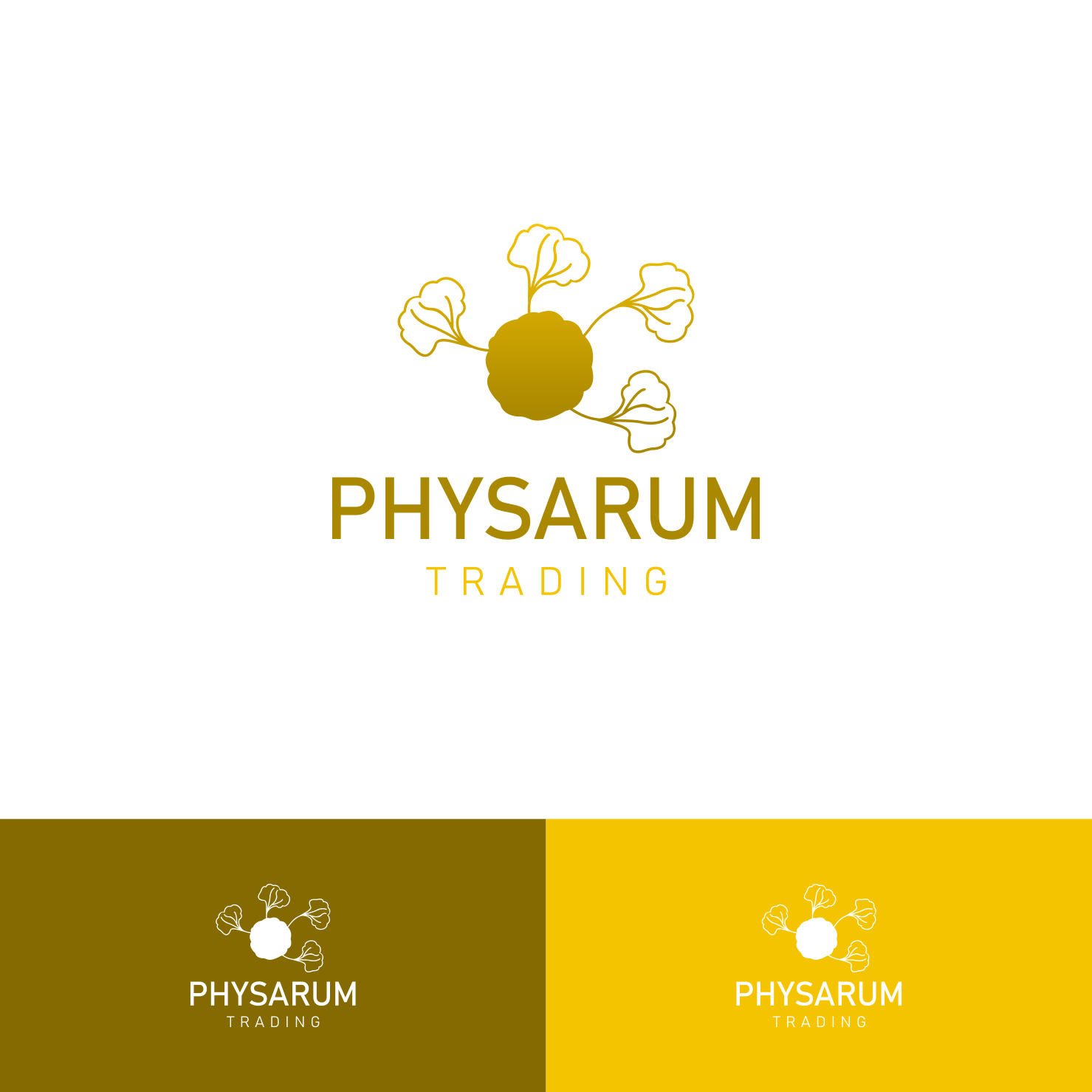 Logo Design by alitjuara for Physarum-Trading | Design #29428436