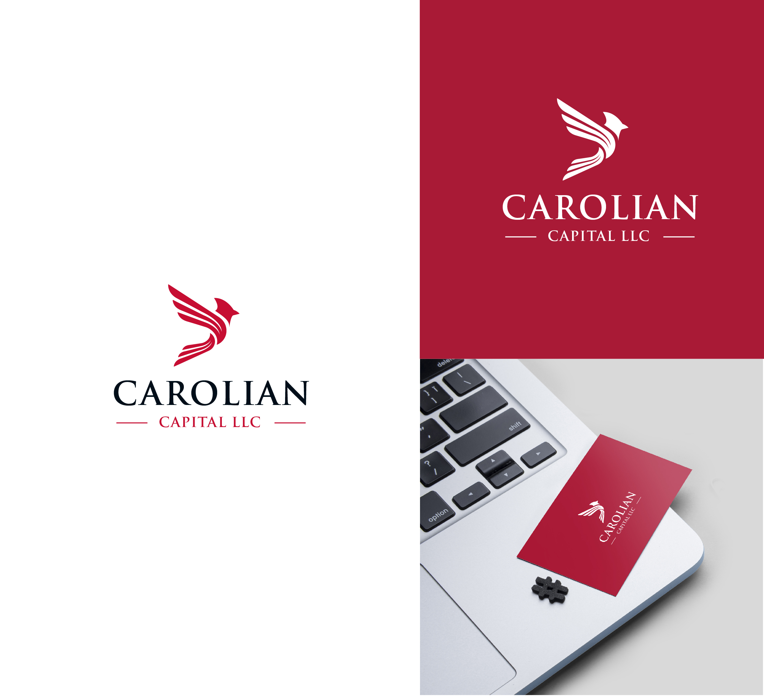 Logo Design by RikoAji for Carolian Capital LLC | Design #29450380