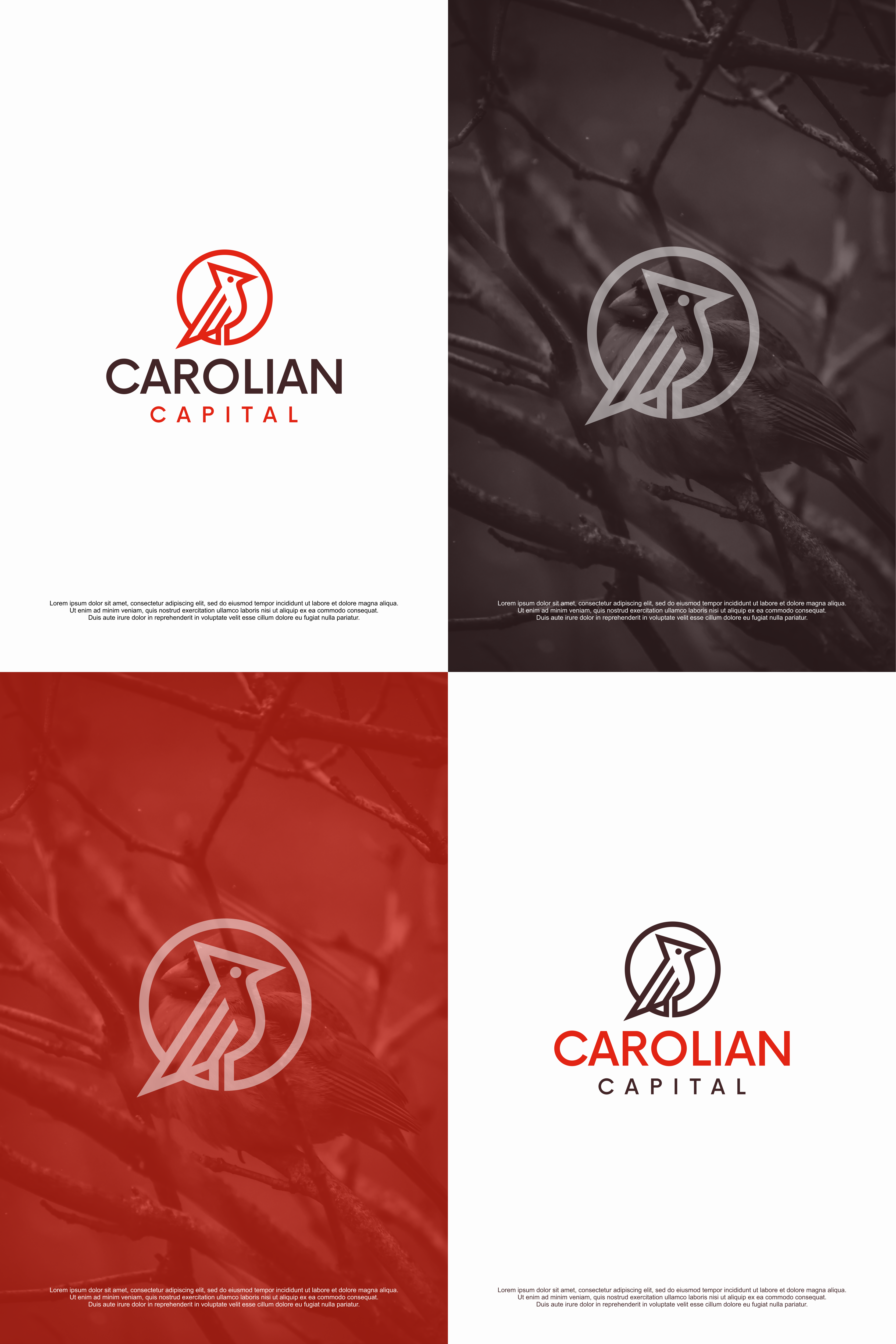 Logo Design by R!CKY for Carolian Capital LLC | Design #29447973
