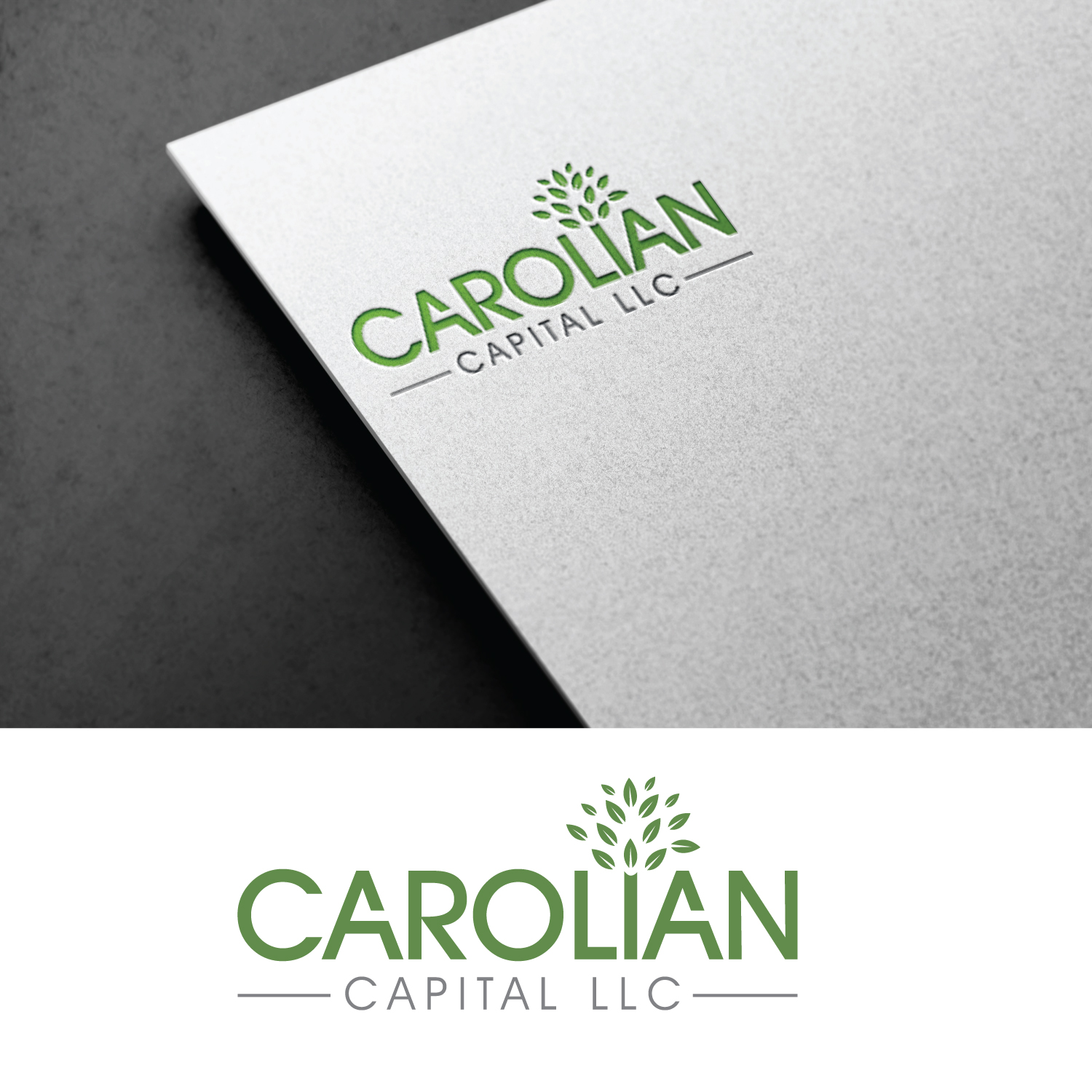 Design de Logo par GODDREAMCREATION pour Carolian Capital LLC | Design #29438121