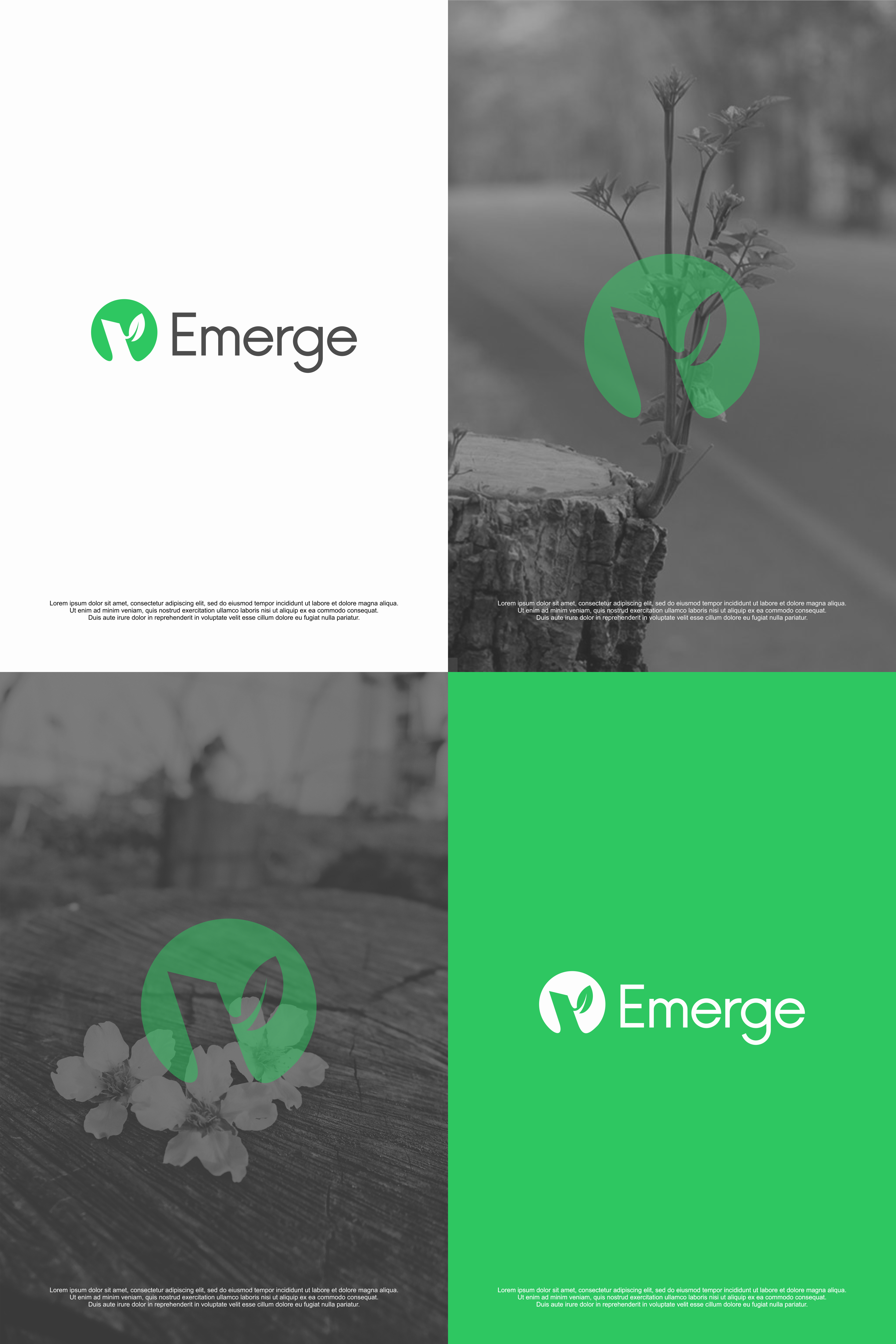 Logo-Design von RICKY.T für dieses Projekt | Design #29450905