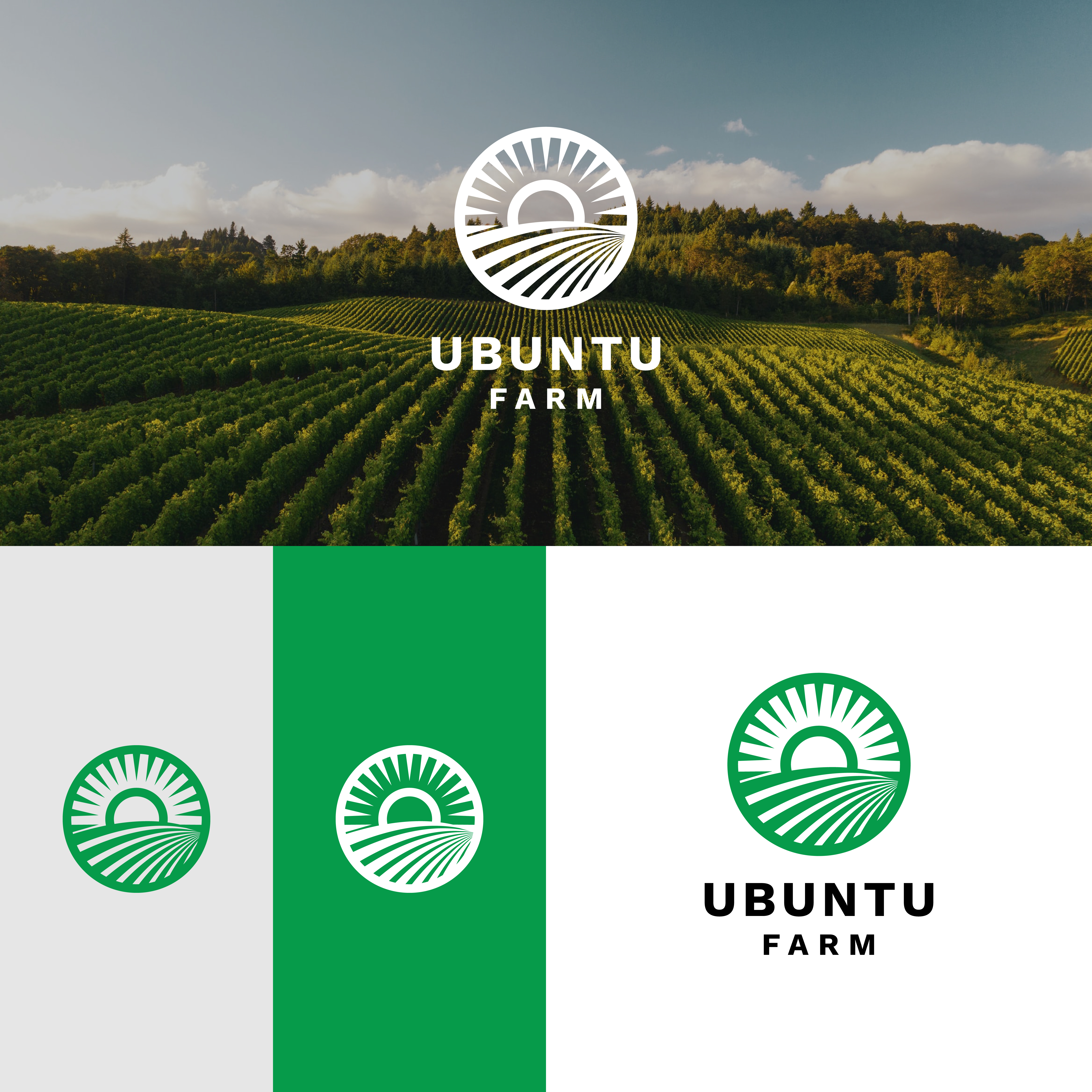 Logo Design by A.R.D.P for this project | Design #29476481