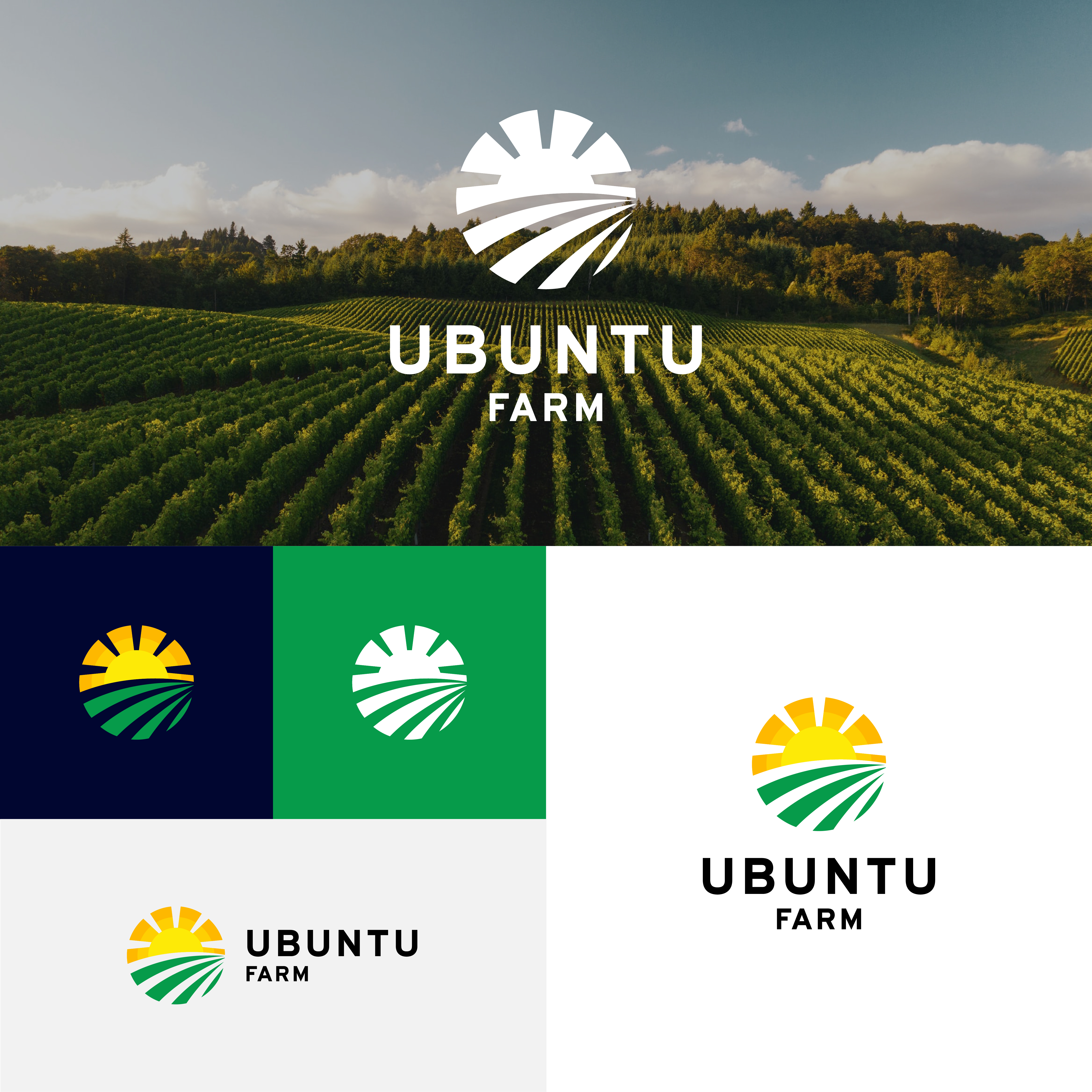 Diseño de Logo por A.R.D.P para este proyecto | Diseño #29477298