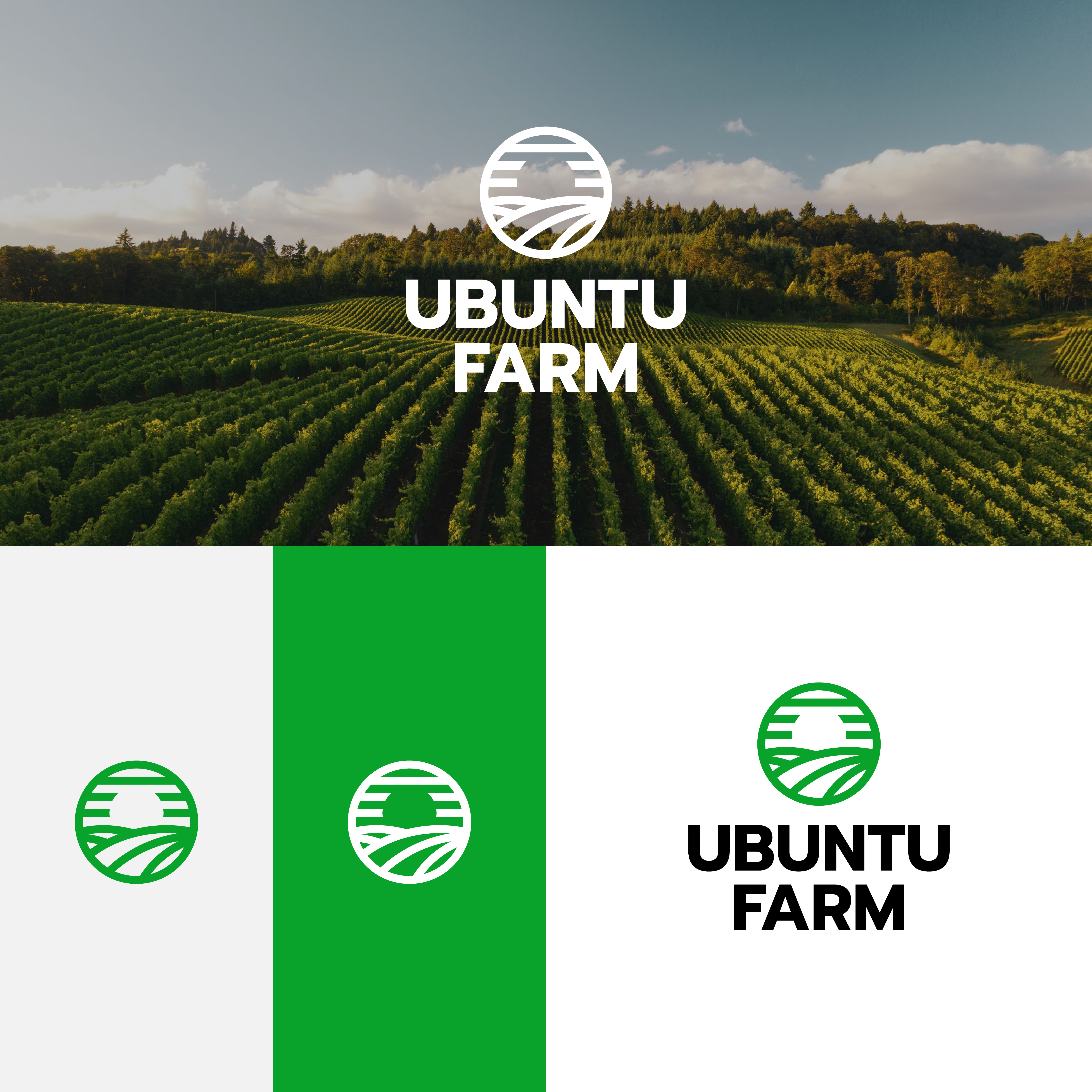 Logo Design by A.R.D.P for this project | Design #29477876