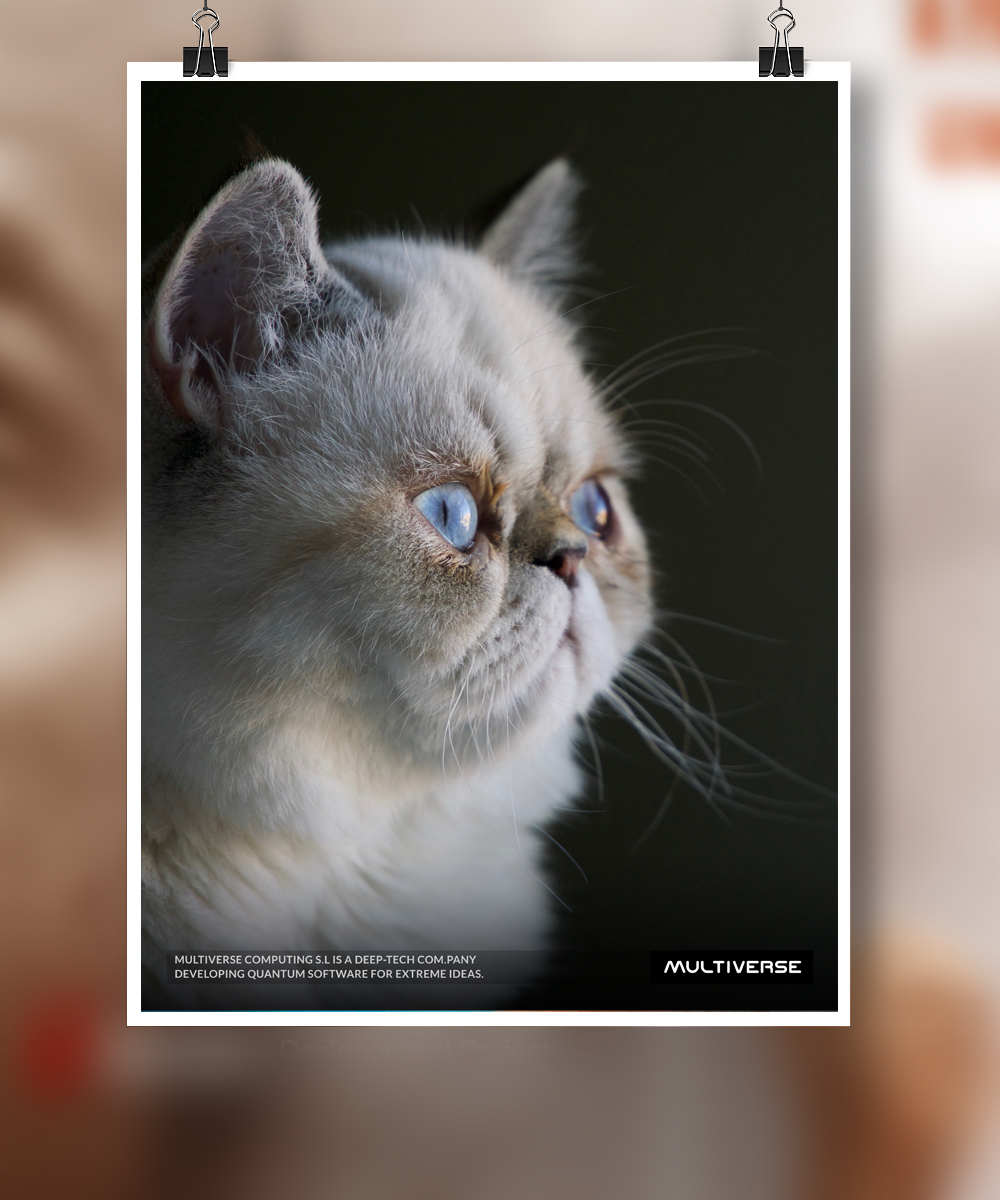 Poster Design by  Artman for Multiverse Computing | Design #29455397