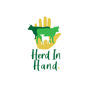 The Cattle App | Logo Design by MinnaKitt