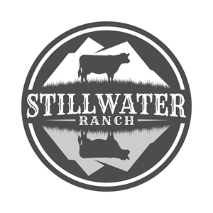 Diseño de Logo por GambarSERU para este proyecto | Diseño: #29456802