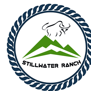 Logo Design by shafrazmohamed106