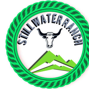 Logo Design by shafrazmohamed106 for this project | Design: #29466078