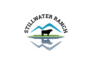 Logo Design by BNdesigner for this project | Design: #29445349