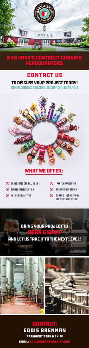 Web Design by Expert Designer
