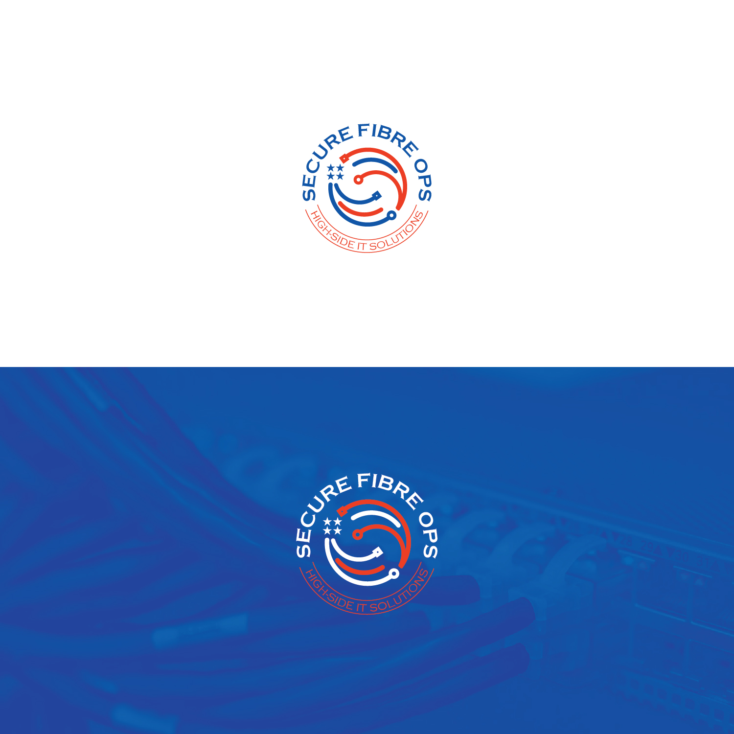 Logo Design by Maxo-Biz for New Zealand Data Limited | Design #29447181