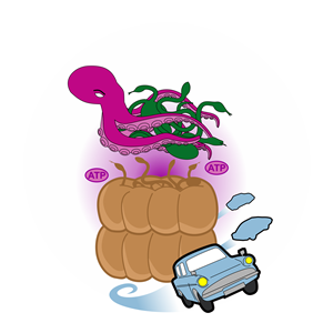 Diseño Gráfico por GambarSERU para Howard Hughes Medical Institute | Diseño: #29440804