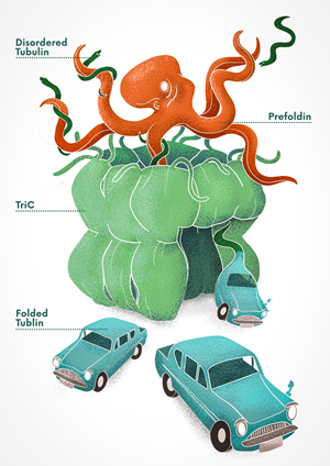 Harry Potter themed fantasy figure for scientific paper (Cell Preview) | Diseño Gráfico por AQMZ