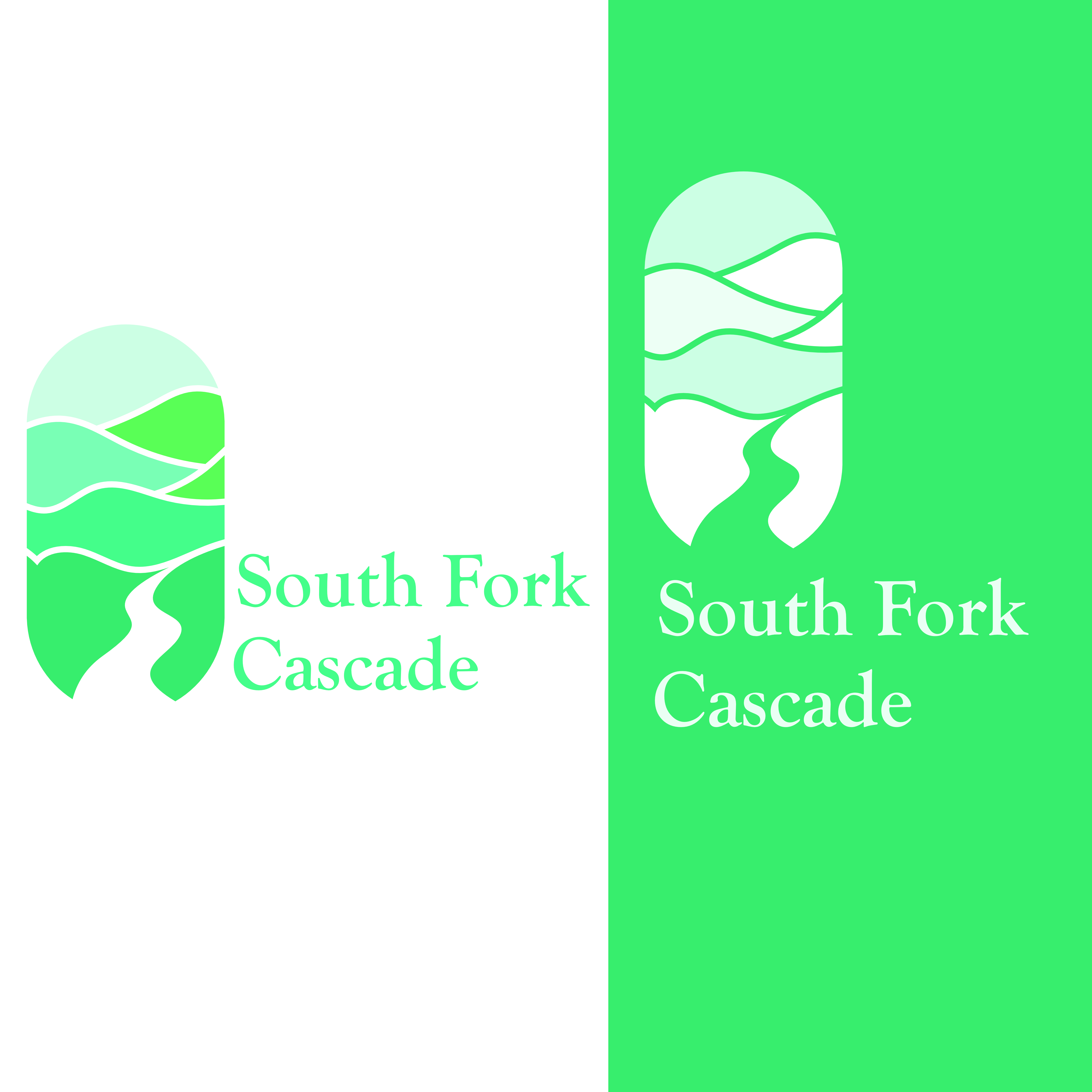 Logo Design by Visionary Sigma for this project | Design #29472854