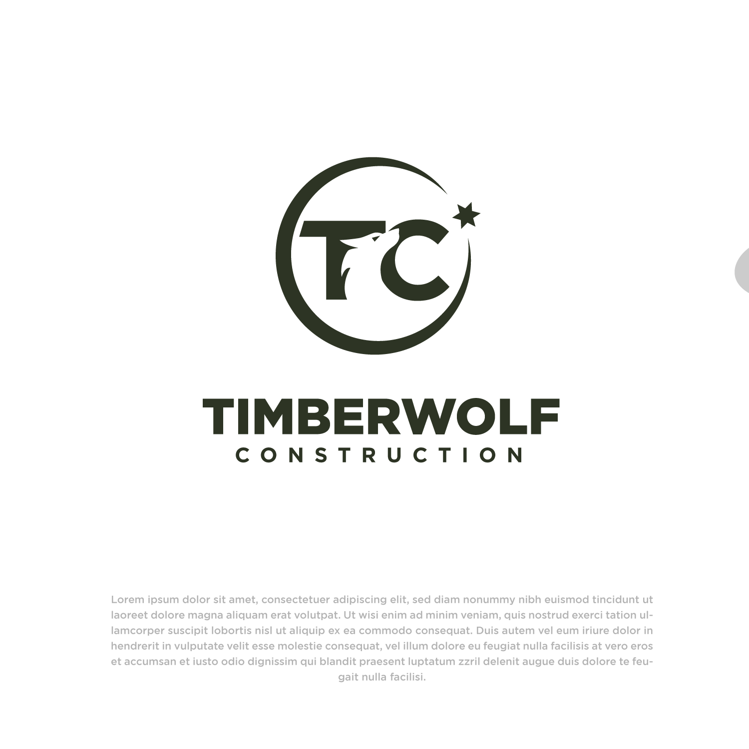 Logo Design by Abdul 20 for this project | Design #29446828