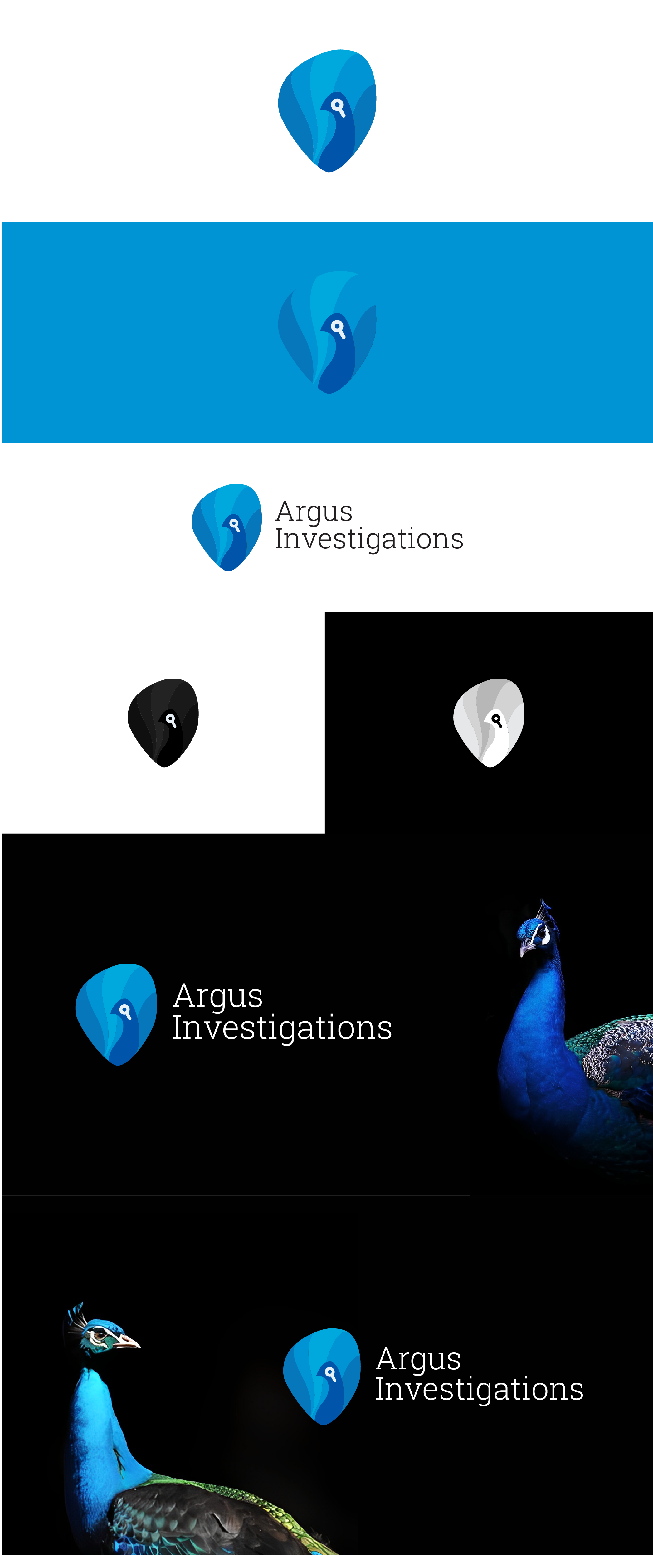 Logo Design by CreziaDesigns for Argus Investigations | Design #29477662
