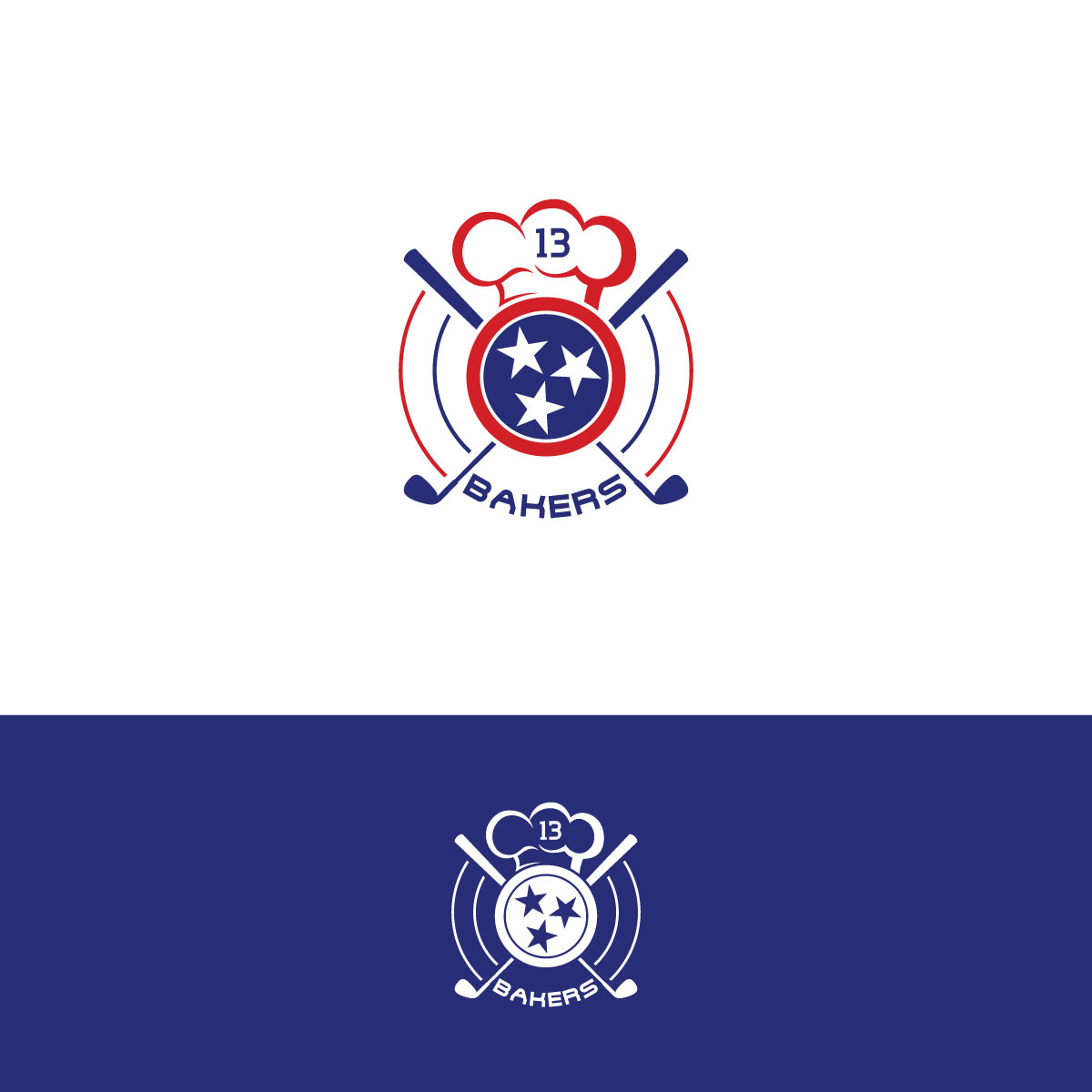 Logo Design by chris Ray for this project | Design #29452153