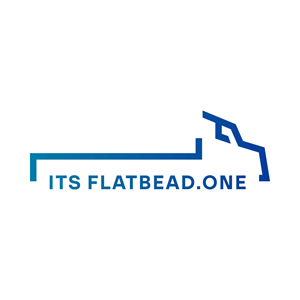 Logo Design by AlexMorisseau for International transport systems | Design: #29478948