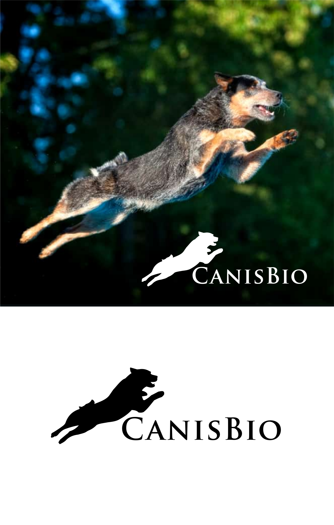 Diseño de Logo por Atiek para este proyecto | Diseño #29450697