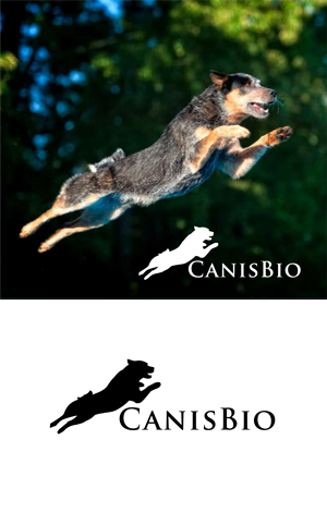 Logo Design by Atiek for this project | Design: #29450697