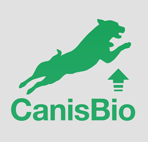 Logo Design by AnniverEdits