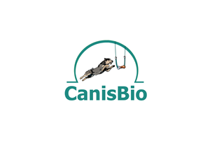 Logo Design by nouarbiti