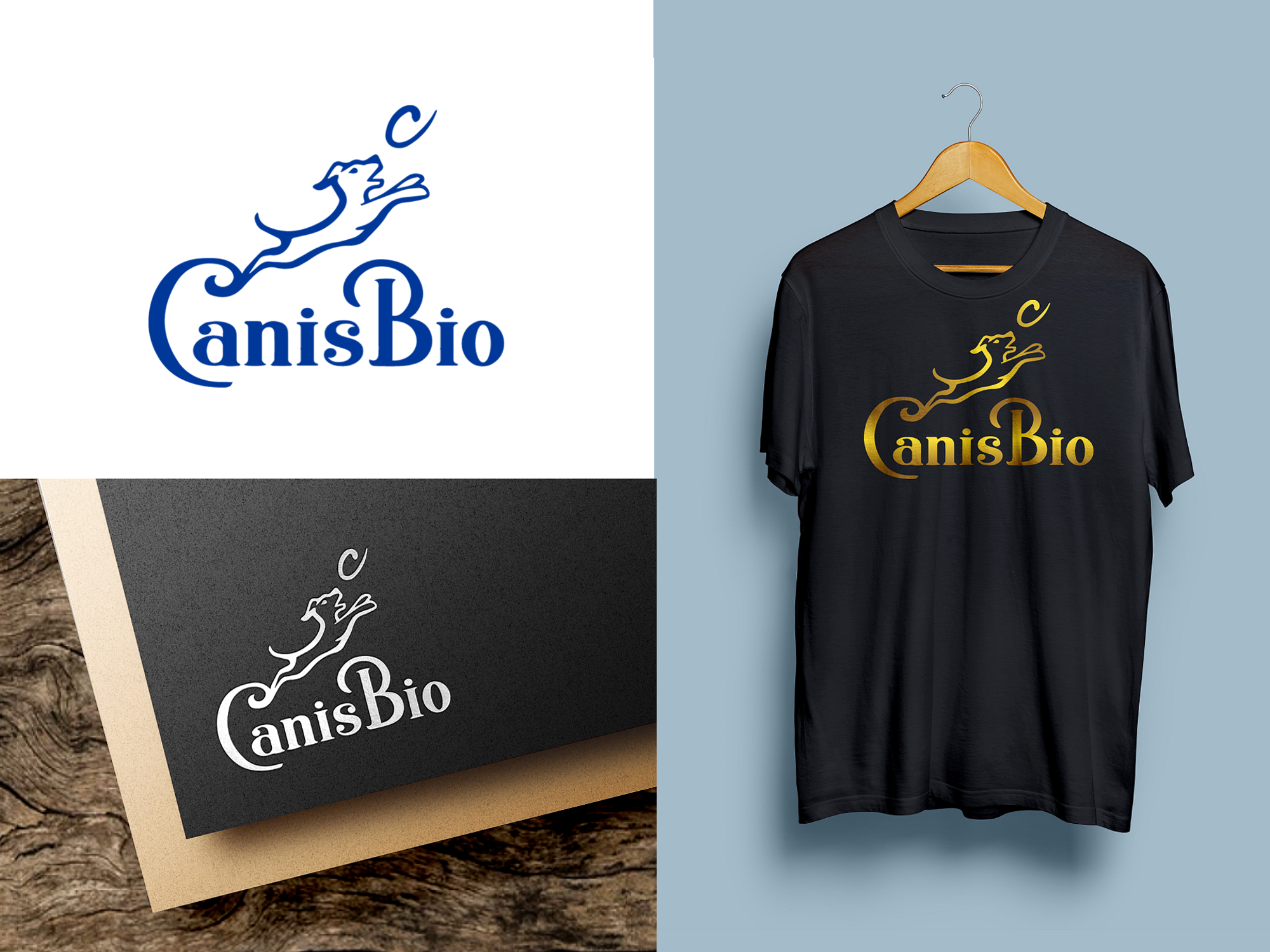 Logo Design by nouarbiti for this project | Design #29470557