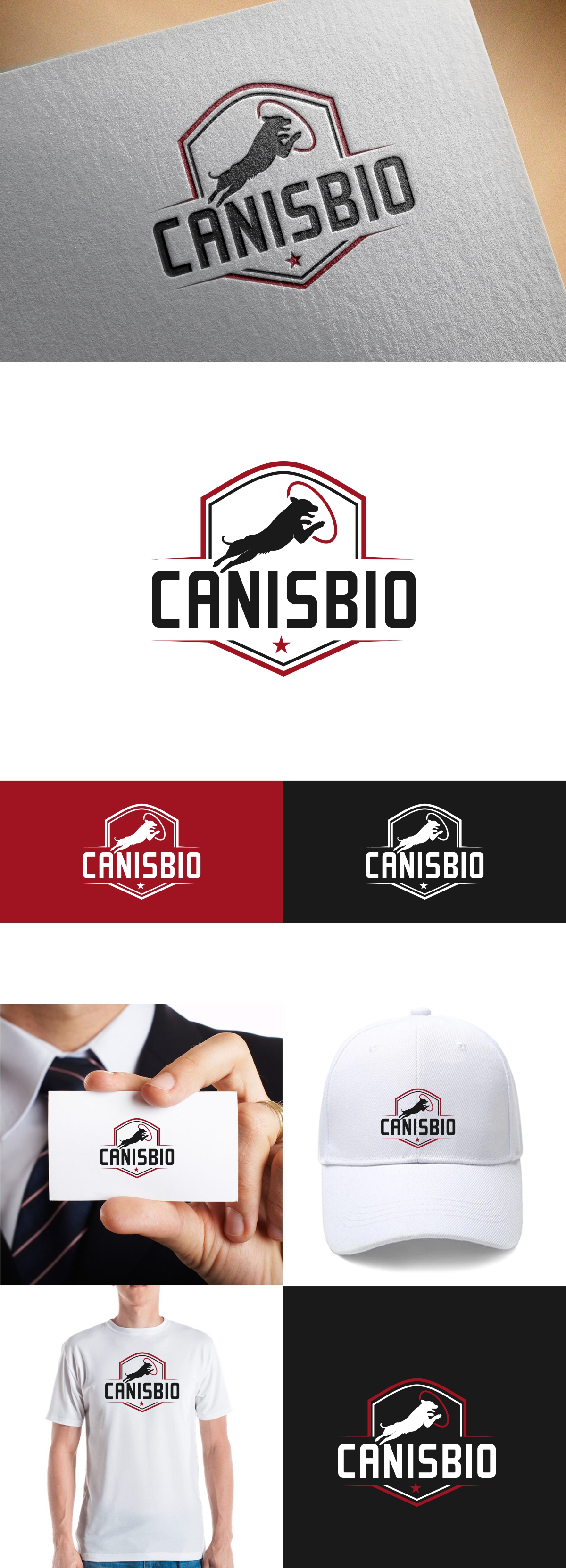 Logo Design by fly  design for this project | Design #29453256