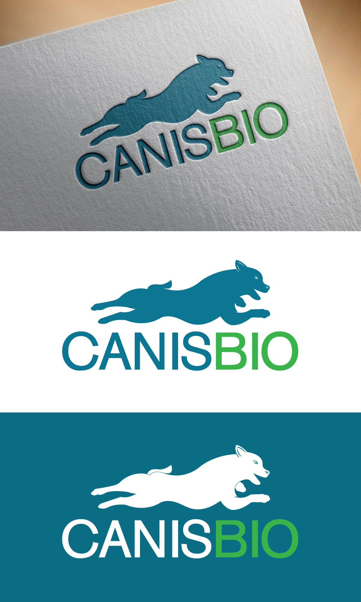 Logo Design by CreativeFeather for this project | Design #29474808