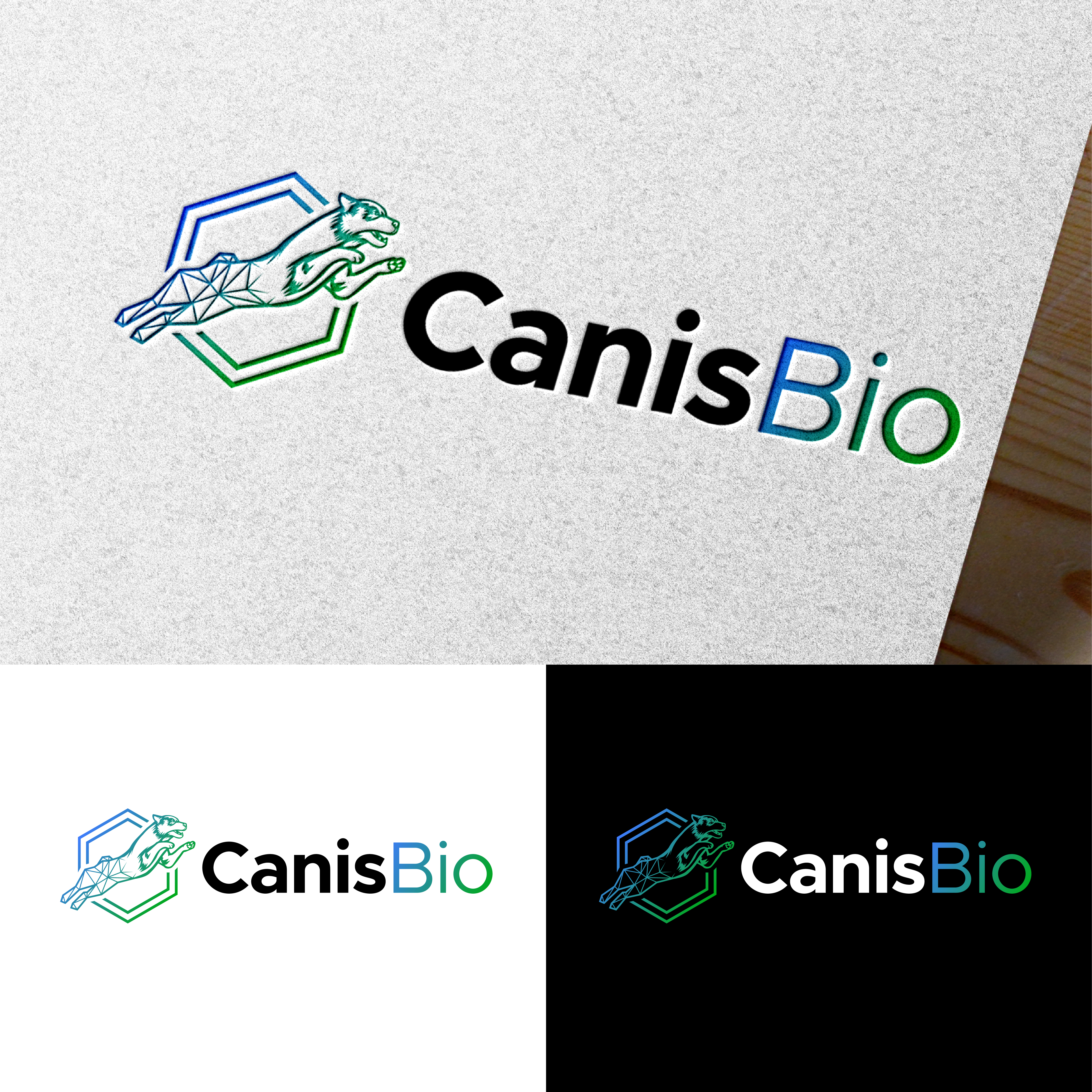 Logo Design by ARTchemist for this project | Design #29451776