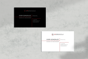 Business Card Design by iftitahNA for Ever Gonzalez, CPA, LLC | Design: #29453298