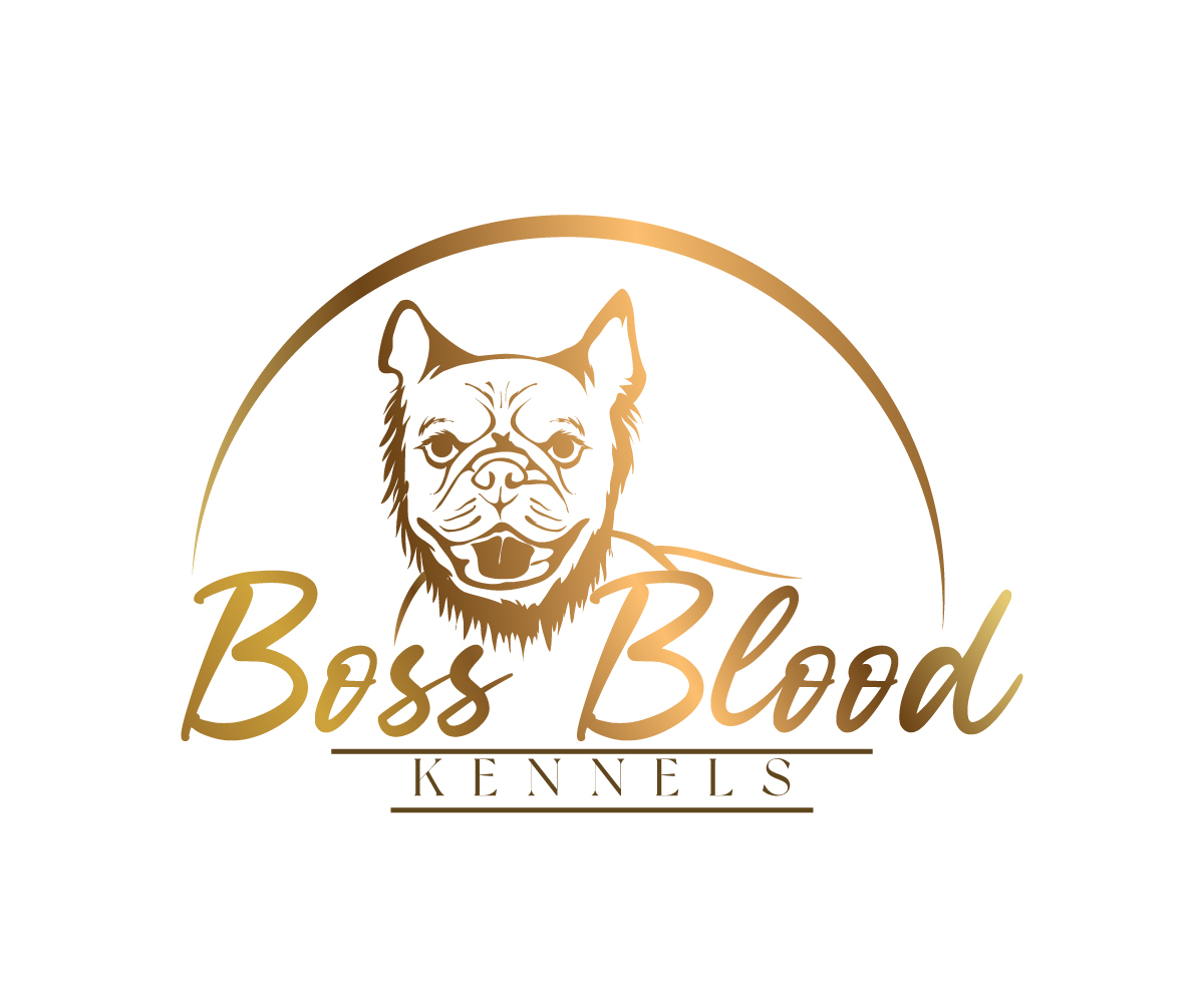 Logo-Design von Paint-Tools für dieses Projekt | Design #29459319