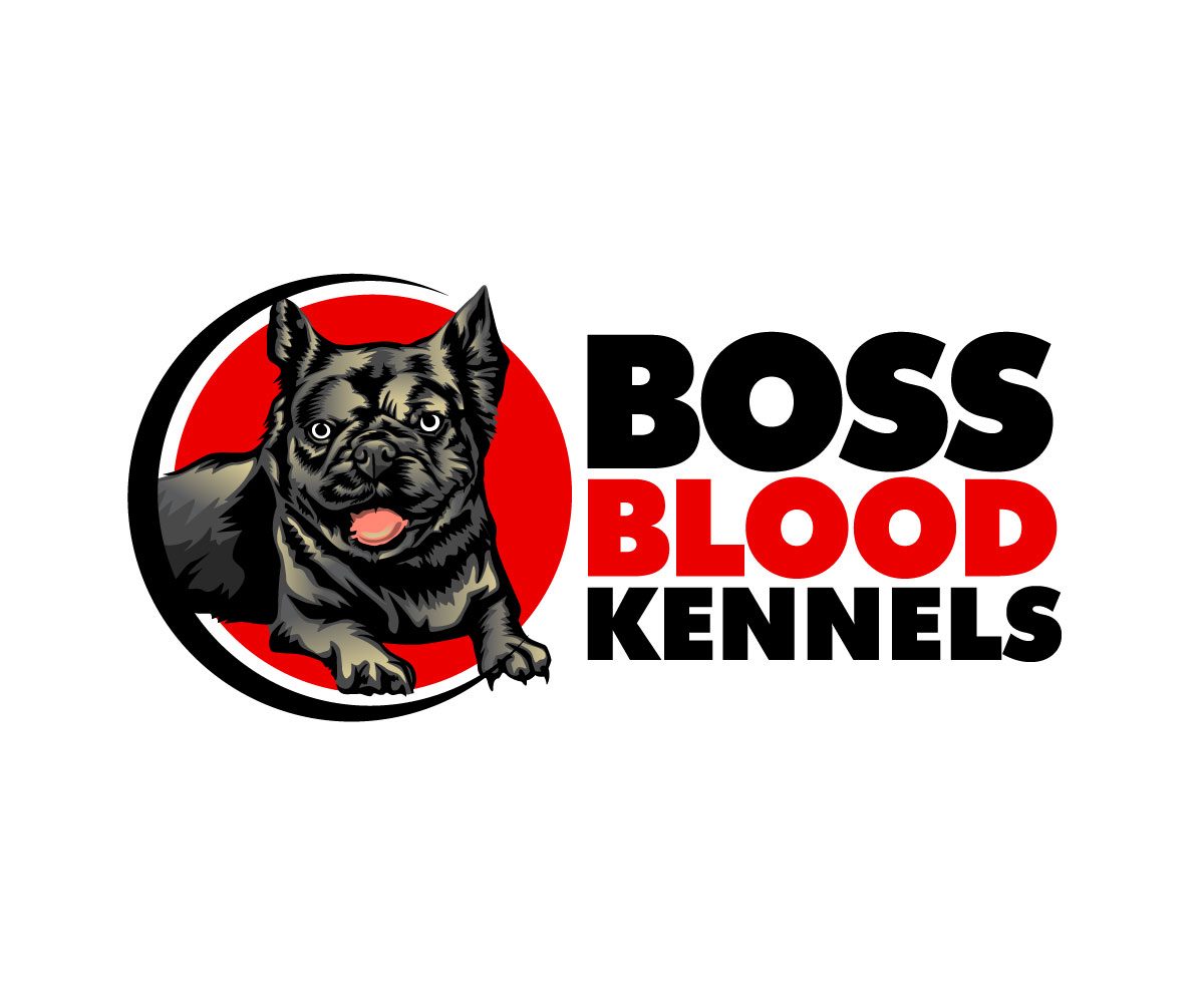 Logo Design by Ansh Design for this project | Design #29459160