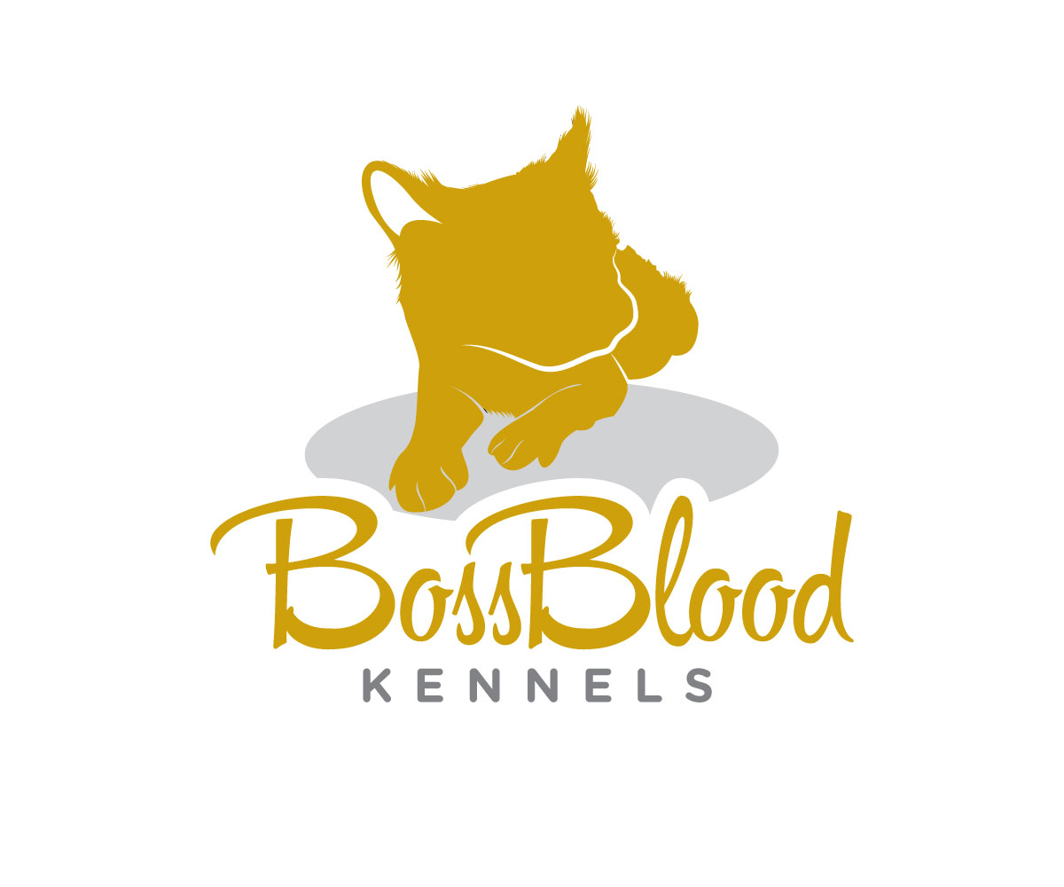 Logo Design by Ansh Design for this project | Design #29459161