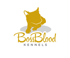 Logo Design by Ansh Design for this project | Design: #29459161