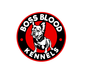 Logo Design by Ansh Design for this project | Design: #29459162