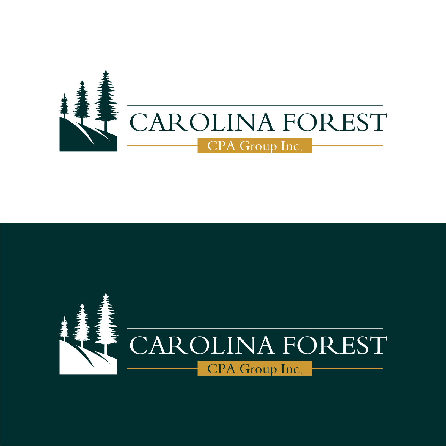 Logo Design by R16 for Carolina Forest CPA Group Inc. | Design #29456971