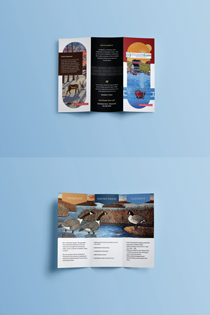 Flyer Design by JK18 for Willabeth Capital | Design: #29459453