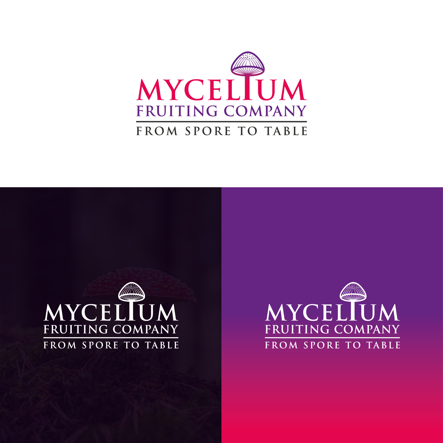 Logo Design by Maxo-Biz for this project | Design #29458961