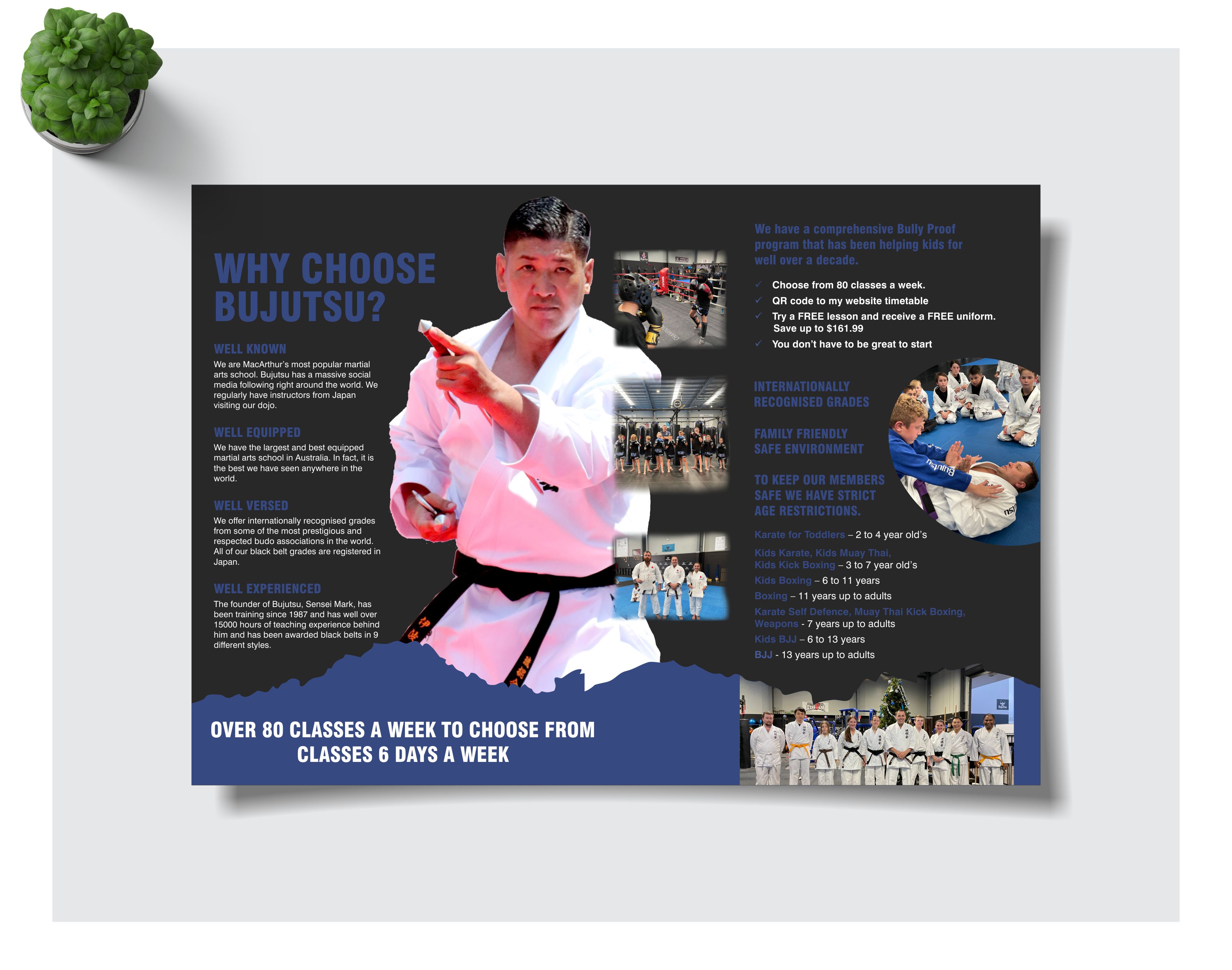 Diseño de Flyer por nng para este proyecto | Diseño #29463069