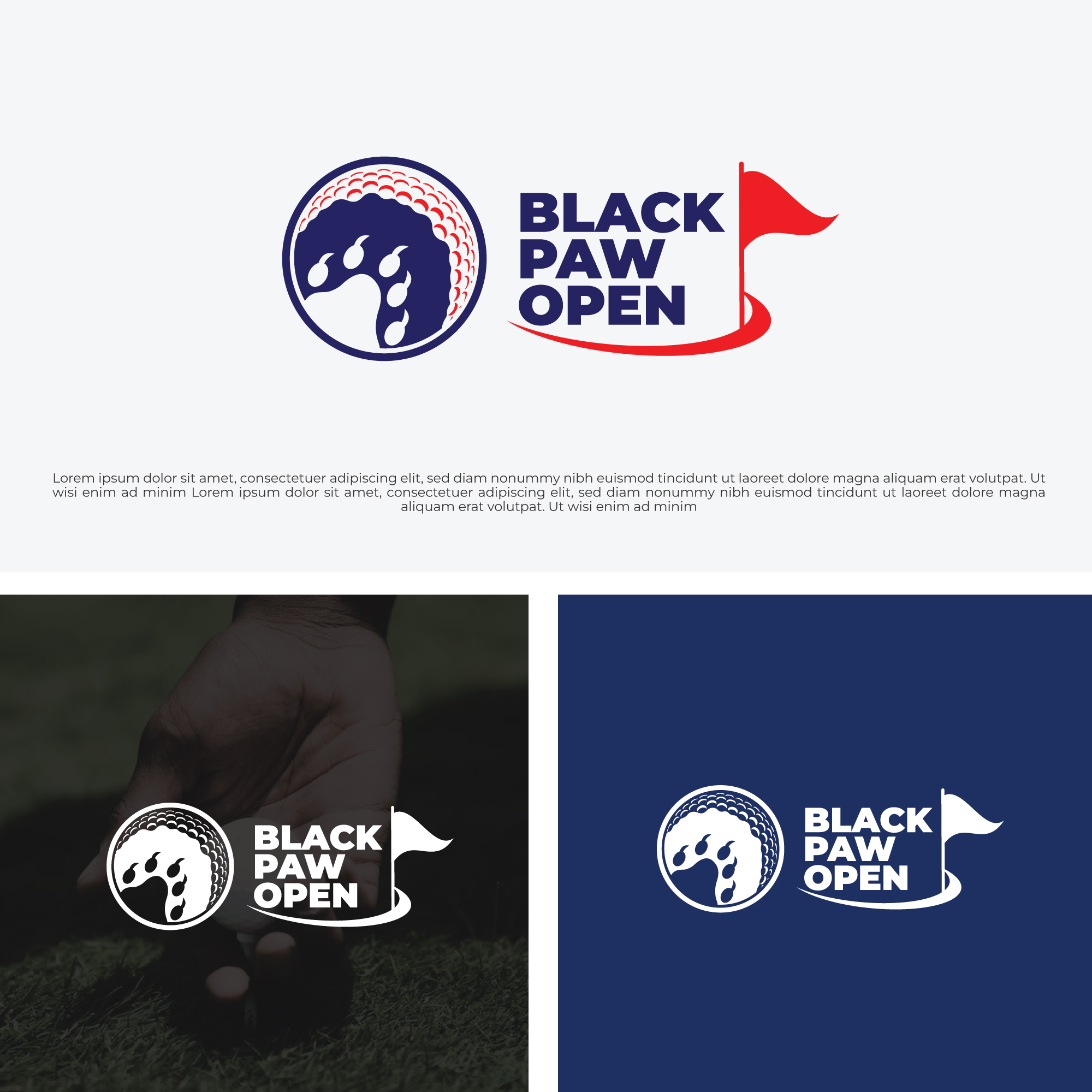 Logo Design by AHNAF_S for this project | Design #29461347
