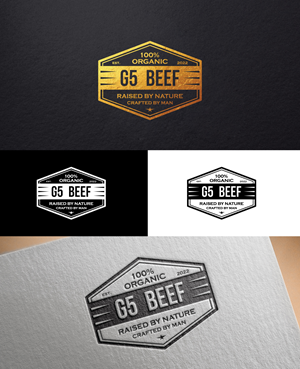 Logo-Design von sol design2 für dieses Projekt | Design: #29463900